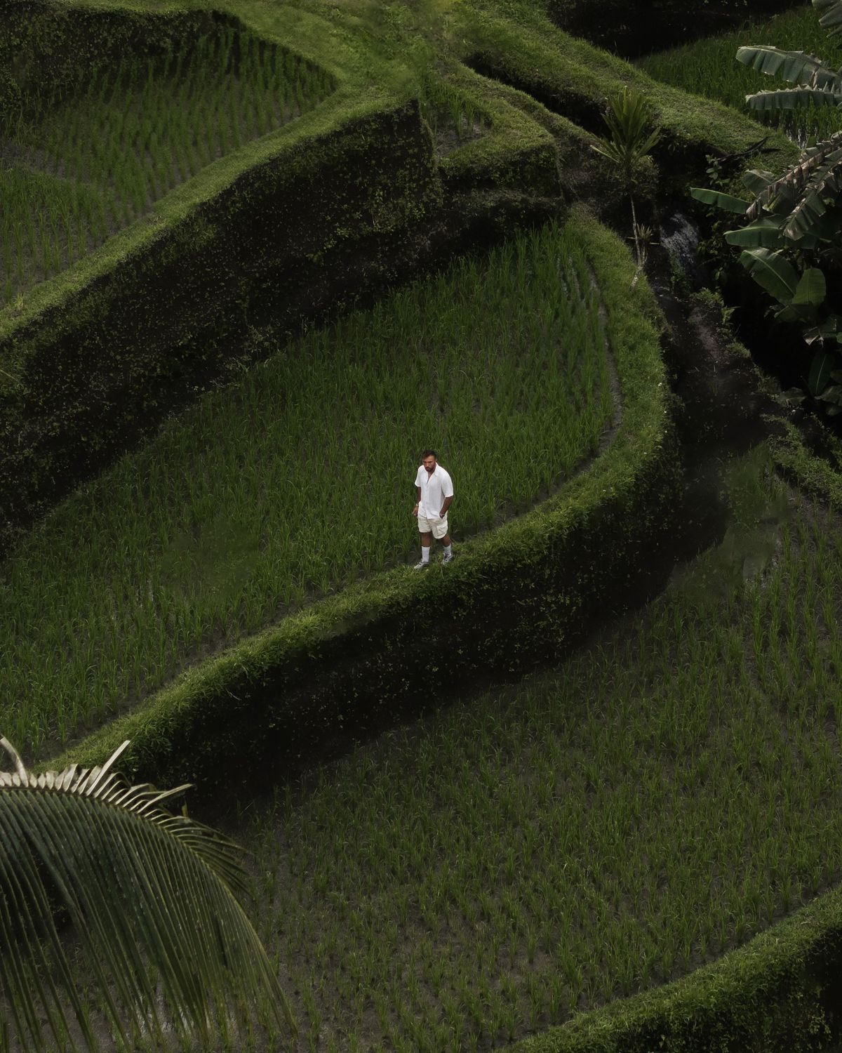 Uluwatu ubud rice terraces walker — Azoria, Uluwatu, Bali